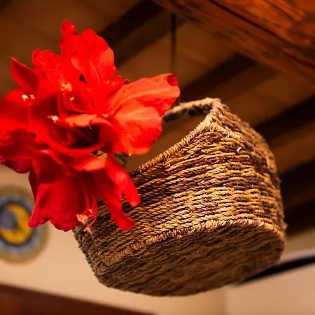 Holiday home L'olivo Gina, Minnie's Montalcino