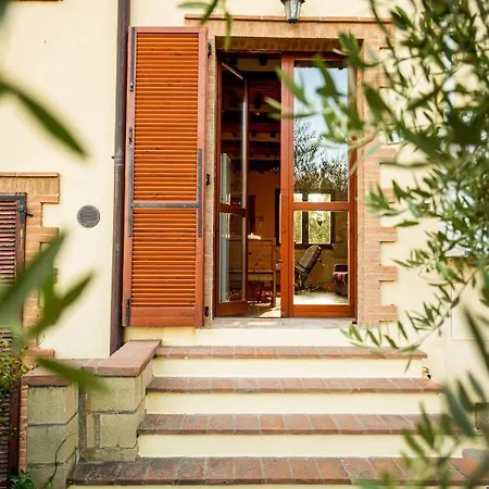 L'olivo Gina, Minnie's Montalcino