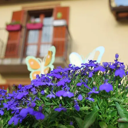 Holiday home L'olivo Gina, Minnie's